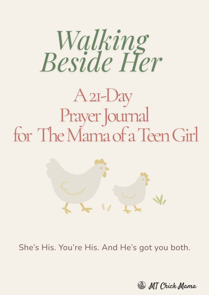 Walking Beside Her: 21 Day Prayer Journal for the Mom of a Teen Girl